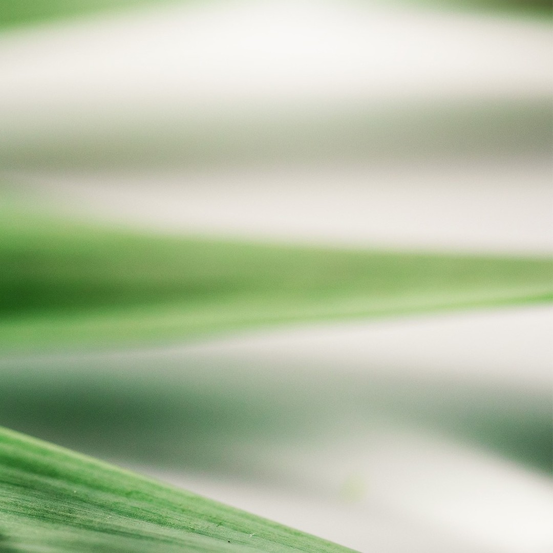 ⠀
#더하노이풋앤바디 프로그램
아로마 테라피 AROMA THERAPY 🌿
⠀⠀
✔️전신 순환 및 신체 피로감 해소
✔️마음의 밸런스를 맞춰 최상의 컨디션 회복에 도움
⠀⠀
블랜딩 오일을 사용하여 전신 순환에
도움을 주는 인기 프로그램 💆‍♀️
⠀⠀
⠀⠀
⠀⠀
네이버에 [ 더하노이풋앤바디 ] 를 검색하세요!
전국 가맹점 간편 예약 신청을 하실 수 있습니다 :)
⠀⠀
⠀⠀
📞가맹점 문의 02-6739-5500