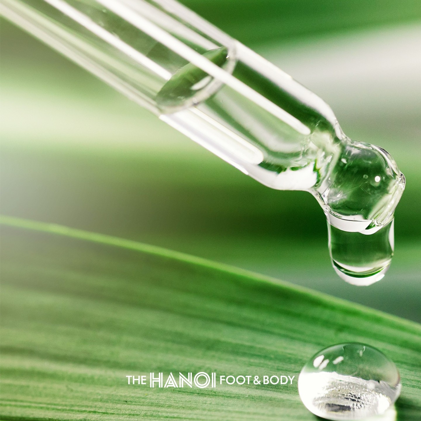 ⠀
#더하노이풋앤바디 프로그램
아로마 테라피 AROMA THERAPY 🌿
⠀⠀
✔️전신 순환 및 신체 피로감 해소
✔️마음의 밸런스를 맞춰 최상의 컨디션 회복에 도움
⠀⠀
블랜딩 오일을 사용하여 전신 순환에
도움을 주는 인기 프로그램 💆‍♀️
⠀⠀
⠀⠀
⠀⠀
네이버에 [ 더하노이풋앤바디 ] 를 검색하세요!
전국 가맹점 간편 예약 신청을 하실 수 있습니다 :)
⠀⠀
⠀⠀
📞가맹점 문의 02-6739-5500