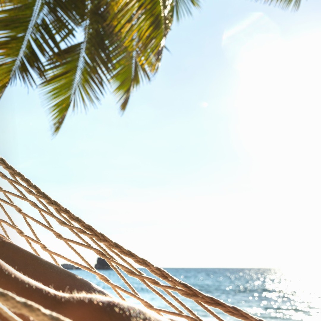 ⠀⠀⠀
🌕 HAPPY CHU-SEOK 🌕
#더하노이풋앤바디 #정상영업
⠀⠀⠀
더하노이풋앤바디 전국 매장
추석 연휴 정상영업합니다 :)
⠀⠀⠀
명절 피로해소는 #더하노이풋앤바디 💆‍♀️
사랑하는 가족, 친구들과 함께 방문하세요!
⠀⠀
⠀⠀
※ 각 매장별 영업시간이 상이할 수 있으니
방문을 희망하시는 매장에 예약 문의 주시기 바랍니다.
⠀⠀⠀⠀
⠀⠀
⠀⠀
💎 가맹문의 : 02_6739_5500